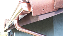 wildlife-proofing-gutters-bird-squirrel-rodent-guards Experts in Patrick
